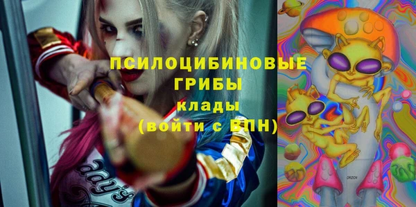 mdpv Арсеньев
