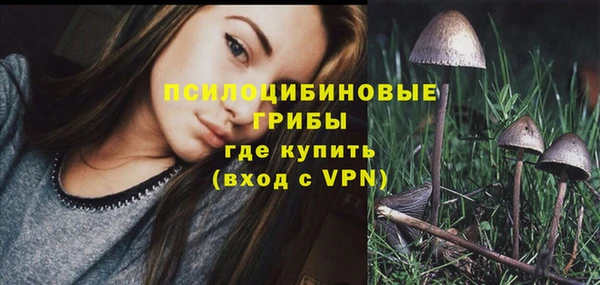 дживик Баксан