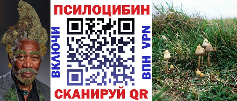 как найти закладки  Сорочинск  shop официальный сайт  Псилоцибиновые грибы ЛСД 